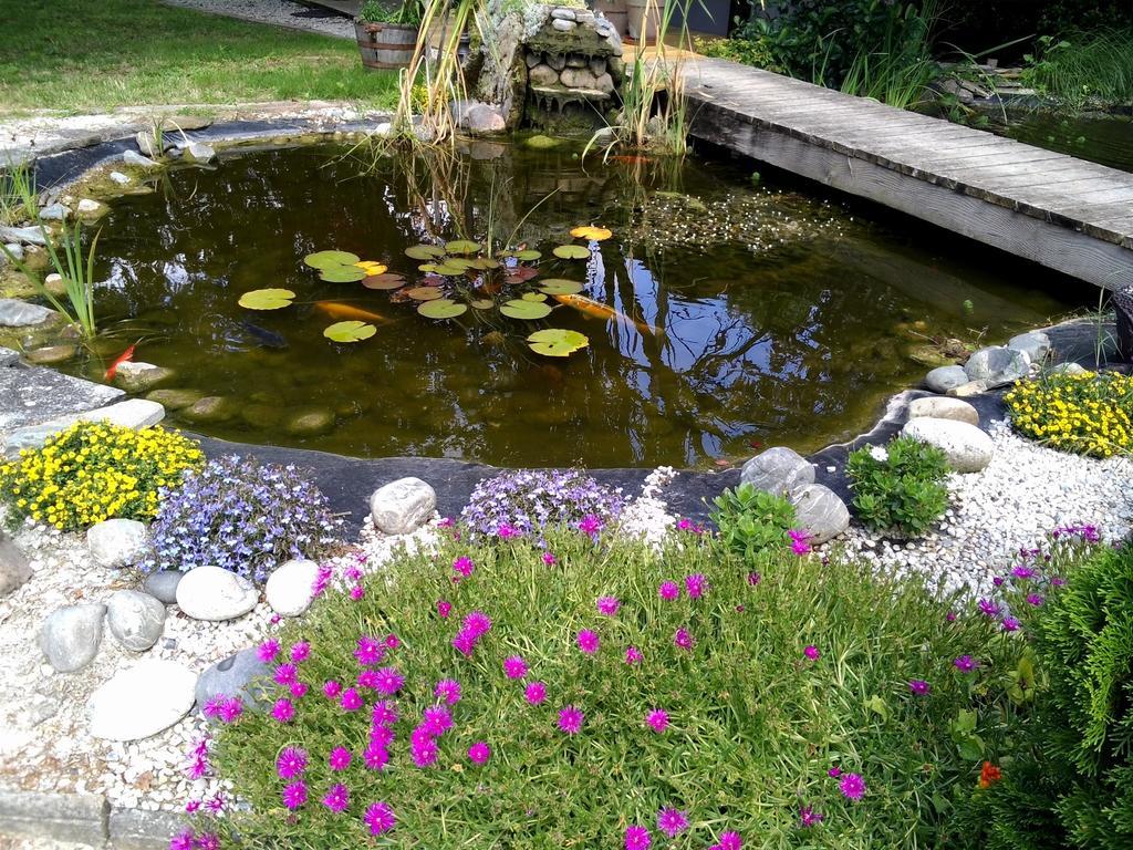 Le Bassin Du Tertre Bed & Breakfast Fronsac  Eksteriør bilde