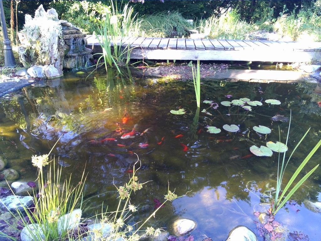 Le Bassin Du Tertre Bed & Breakfast Fronsac  Eksteriør bilde